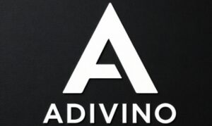 ADIVINO на Wildberries: как внедрение Складолог позволило масштабировать склад и продажи