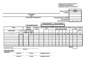 Форма ТОРГ-11 (Товарный ярлык)