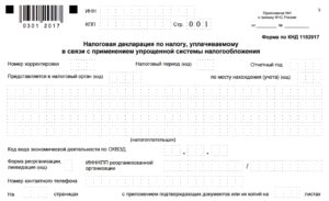 Как подать декларацию по УСН за 2025 год