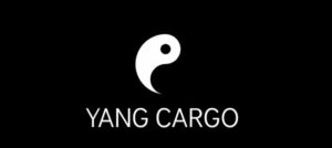 Внедрение системы Складолог в фулфимент YANG CARGO